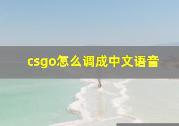 csgo怎么调成中文语音