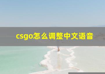 csgo怎么调整中文语音