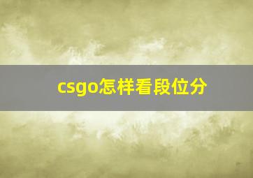 csgo怎样看段位分