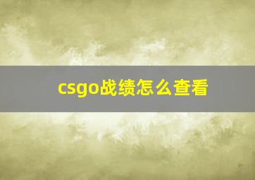 csgo战绩怎么查看