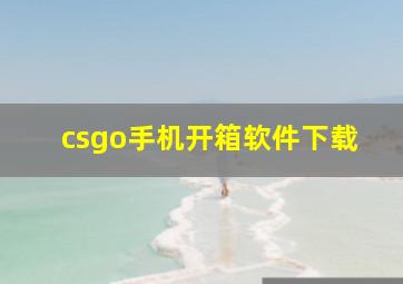 csgo手机开箱软件下载