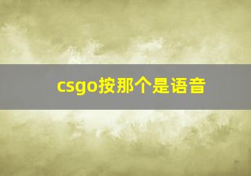 csgo按那个是语音