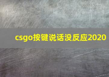 csgo按键说话没反应2020