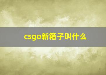 csgo新箱子叫什么