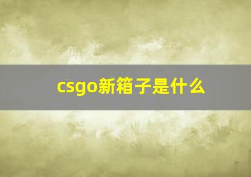 csgo新箱子是什么