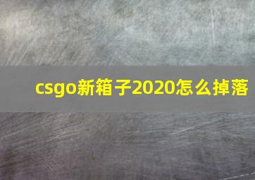 csgo新箱子2020怎么掉落