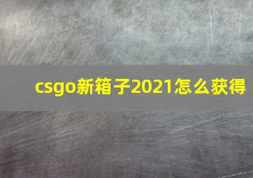 csgo新箱子2021怎么获得