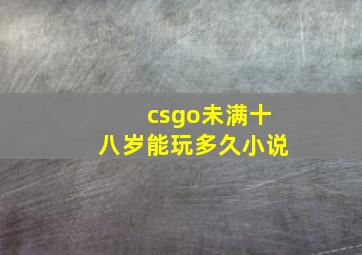 csgo未满十八岁能玩多久小说