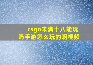 csgo未满十八能玩吗手游怎么玩的啊视频