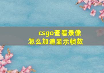 csgo查看录像怎么加速显示帧数