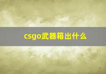 csgo武器箱出什么