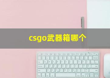 csgo武器箱哪个