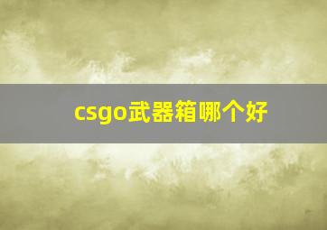 csgo武器箱哪个好