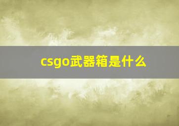 csgo武器箱是什么