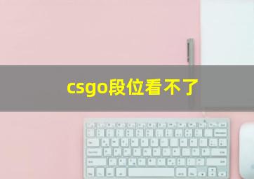 csgo段位看不了