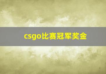 csgo比赛冠军奖金