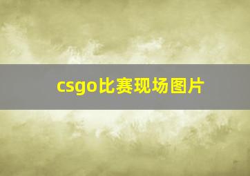 csgo比赛现场图片