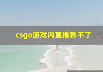 csgo游戏内直播看不了