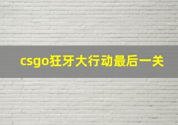 csgo狂牙大行动最后一关