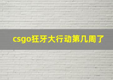 csgo狂牙大行动第几周了