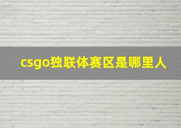 csgo独联体赛区是哪里人