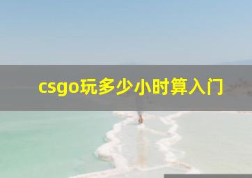 csgo玩多少小时算入门