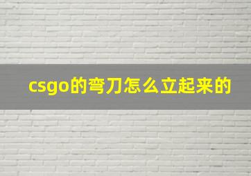 csgo的弯刀怎么立起来的