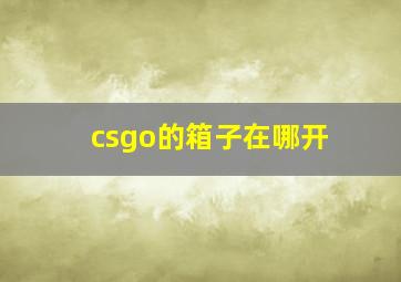 csgo的箱子在哪开