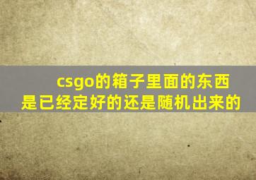 csgo的箱子里面的东西是已经定好的还是随机出来的