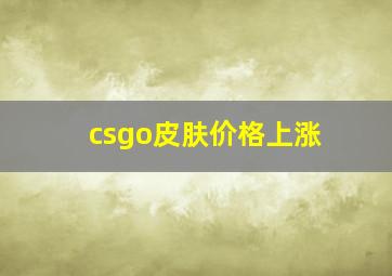 csgo皮肤价格上涨