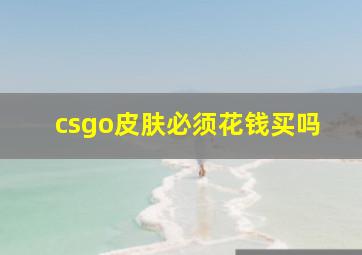 csgo皮肤必须花钱买吗