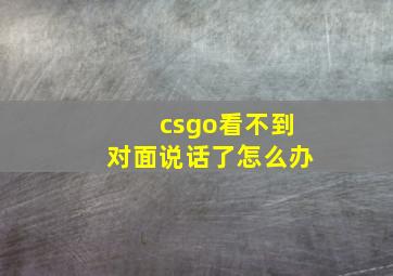 csgo看不到对面说话了怎么办