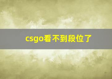 csgo看不到段位了