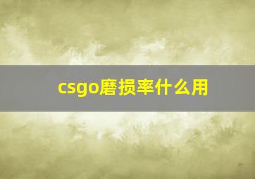 csgo磨损率什么用