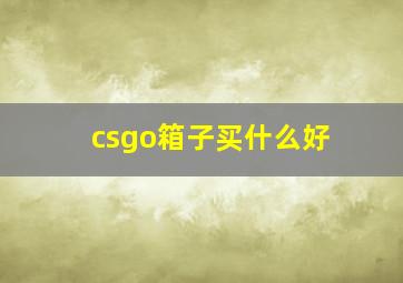 csgo箱子买什么好