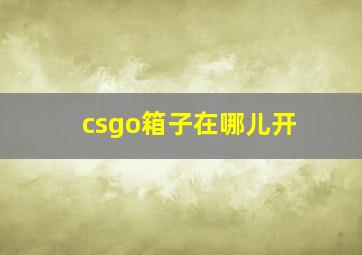 csgo箱子在哪儿开