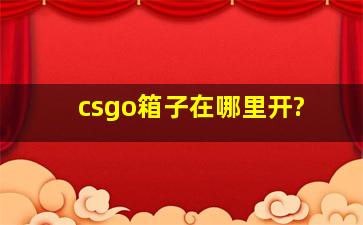 csgo箱子在哪里开?