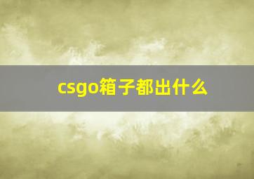 csgo箱子都出什么