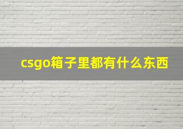 csgo箱子里都有什么东西