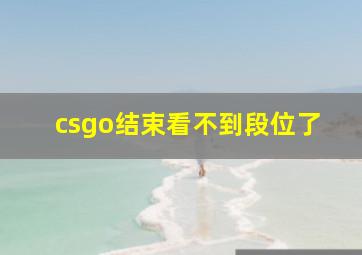 csgo结束看不到段位了