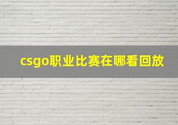 csgo职业比赛在哪看回放