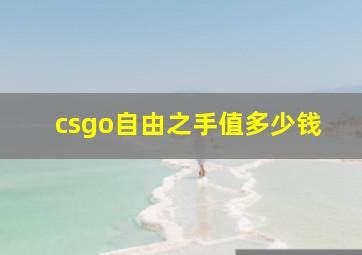 csgo自由之手值多少钱