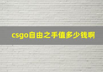 csgo自由之手值多少钱啊