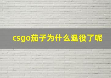 csgo茄子为什么退役了呢