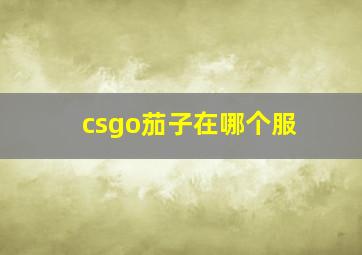 csgo茄子在哪个服