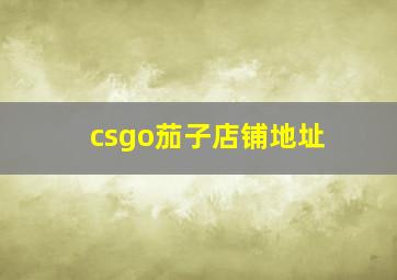 csgo茄子店铺地址