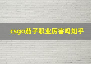 csgo茄子职业厉害吗知乎