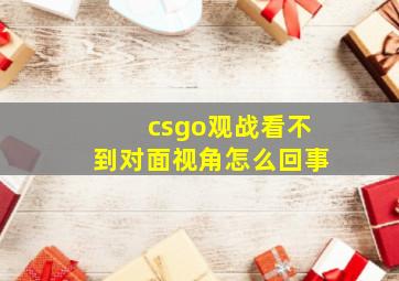 csgo观战看不到对面视角怎么回事