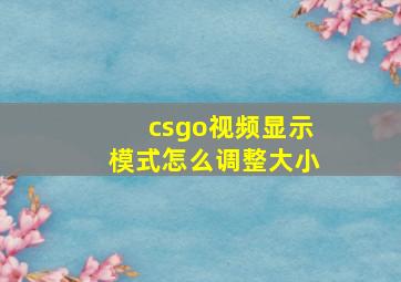 csgo视频显示模式怎么调整大小