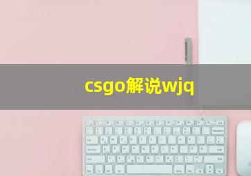 csgo解说wjq